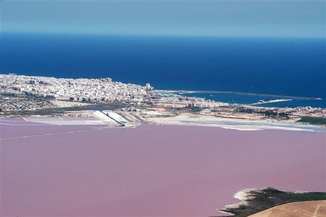 Apartment Parquemar La Mata (Torrevieja) Room photo